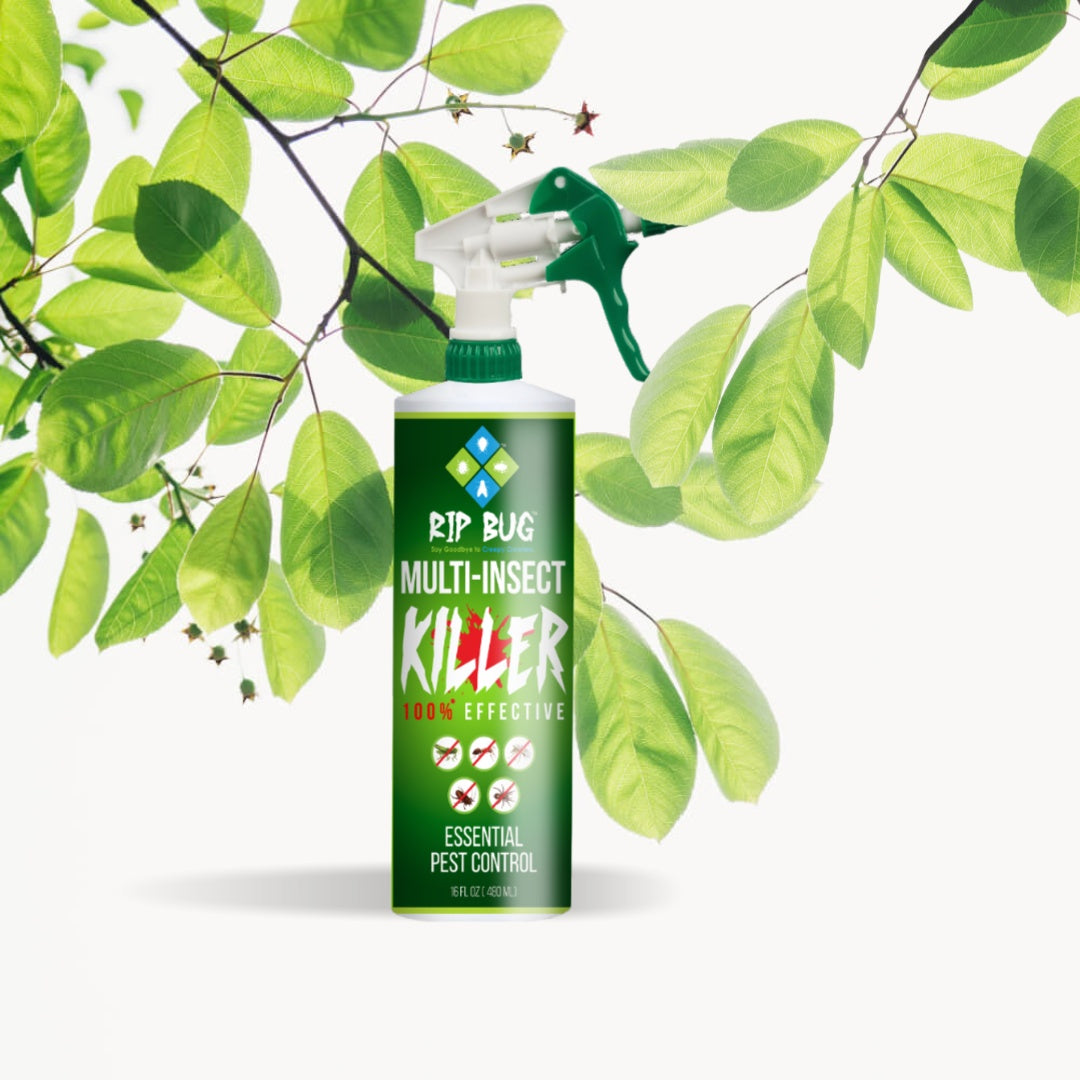 Fast-Acting Natural Pest Control Spray for Ants, Roaches, and Flies 16oz — RIP BUG