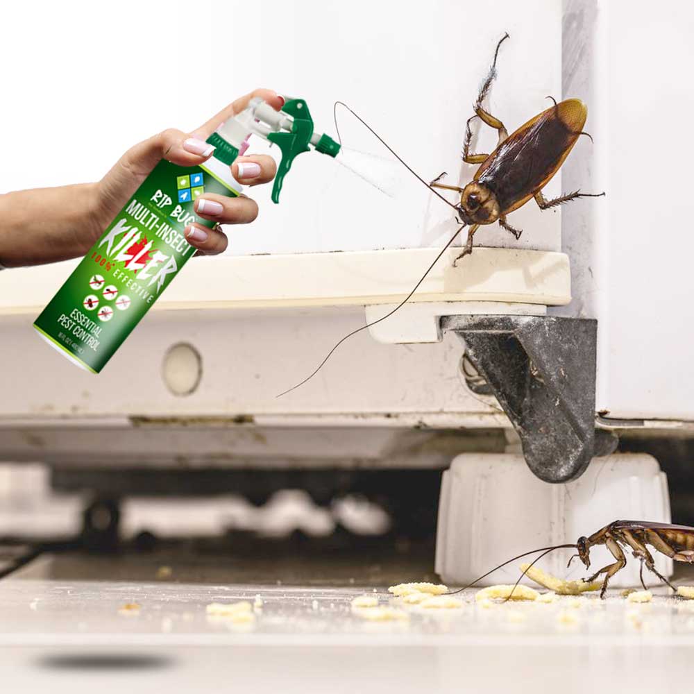 Natural Home Pest Control Spray Kills Ants, Roaches & Flies 16oz — RIP BUG