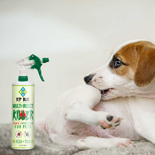 Natural Flea & Tick Spray for Pets – Safe, Effective Protection from RIP BUG